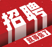 合肥二手网面向社会诚聘财务工作人员
